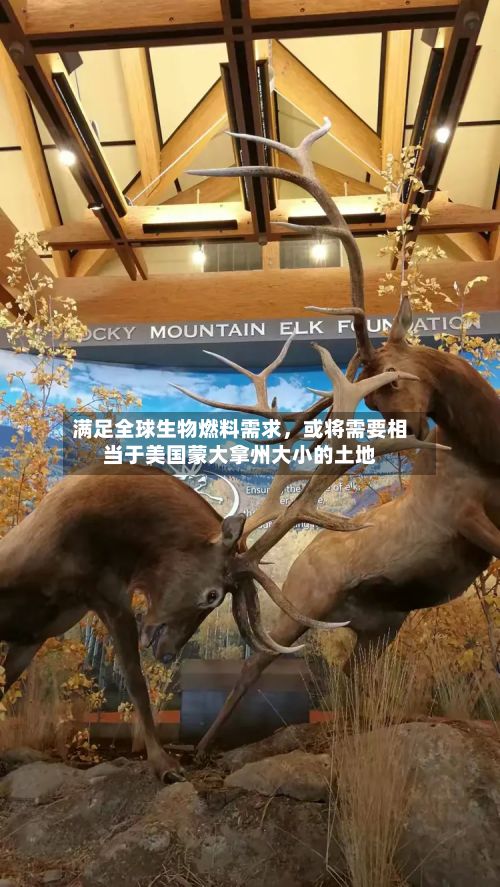 满足全球生物燃料需求	，或将需要相当于美国蒙大拿州大小的土地-第3张图片