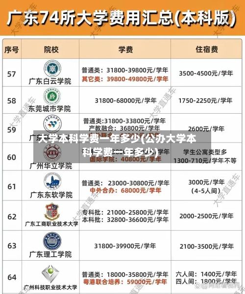 大学本科学费一年多少(公办大学本科学费一年多少)-第3张图片