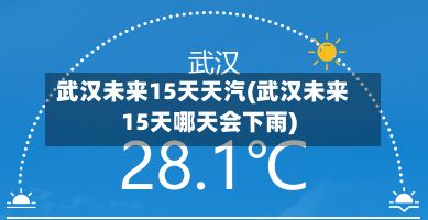 武汉未来15天天汽(武汉未来15天哪天会下雨)