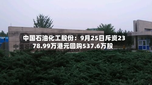 中国石油化工股份：9月25日斥资2378.99万港元回购537.6万股-第2张图片