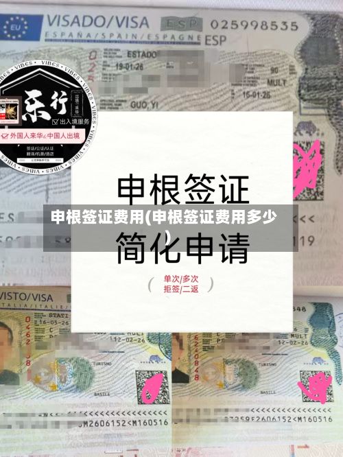 申根签证费用(申根签证费用多少)