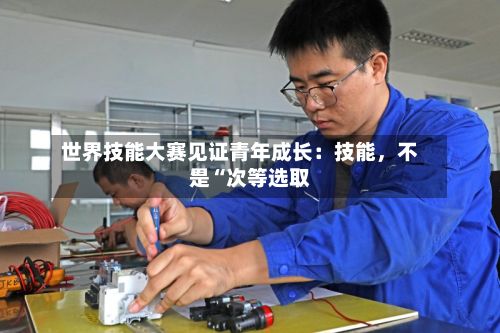 世界技能大赛见证青年成长：技能，不是“次等选取”