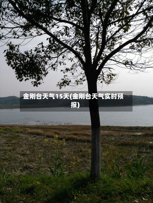 金刚台天气15天(金刚台天气实时预报)