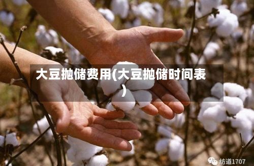 大豆抛储费用(大豆抛储时间表)
