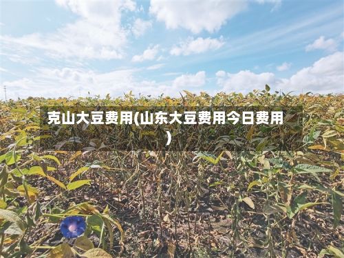克山大豆费用(山东大豆费用今日费用)