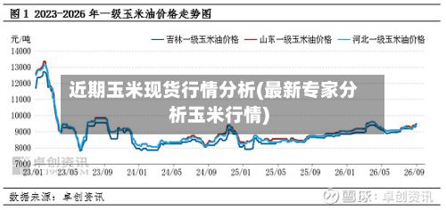 近期玉米现货行情分析(最新专家分析玉米行情)-第2张图片