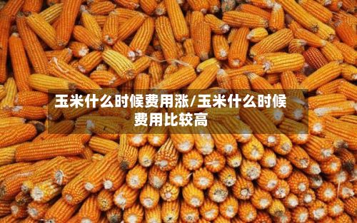 玉米什么时候费用涨/玉米什么时候费用比较高