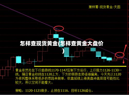怎样查现货黄金(怎样查黄金大盘价)-第2张图片