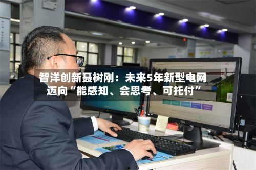 智洋创新聂树刚：未来5年新型电网迈向“能感知、会思考	、可托付”-第2张图片