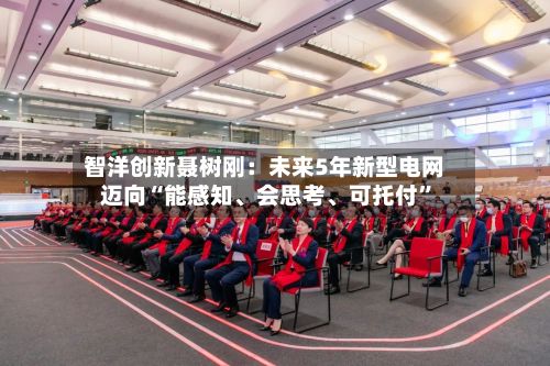 智洋创新聂树刚：未来5年新型电网迈向“能感知、会思考、可托付	”-第3张图片