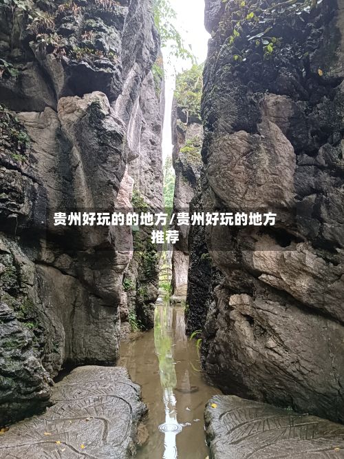 贵州好玩的的地方/贵州好玩的地方推荐