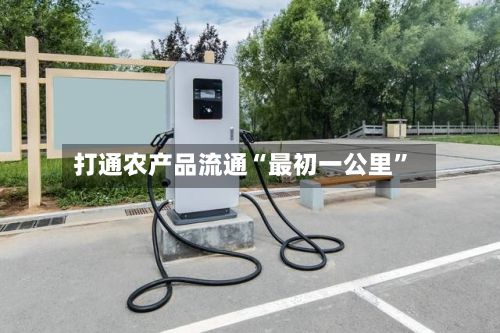 打通农产品流通“最初一公里”-第2张图片