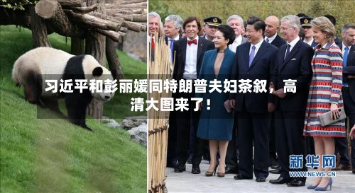 习近平和彭丽媛同特朗普夫妇茶叙，高清大图来了！-第3张图片
