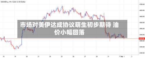 市场对美伊达成协议萌生初步期待 油价小幅回落
