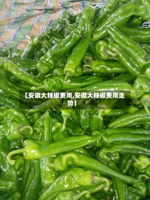 【安徽大辣椒费用,安徽大辣椒费用走势】-第3张图片