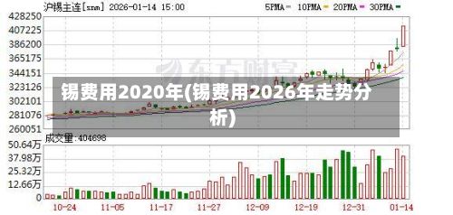 锡费用2020年(锡费用2026年走势分析)