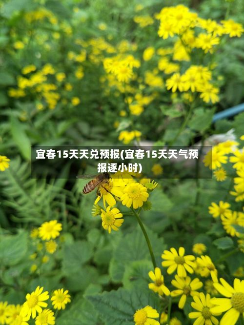 宜春15天天兑预报(宜春15天天气预报逐小时)-第2张图片