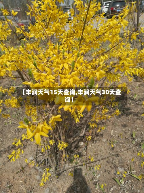 【丰润天气15天查询,丰润天气30天查询】-第2张图片