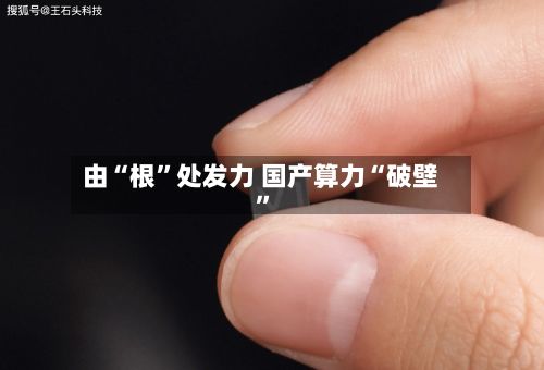 由“根	”处发力 国产算力“破壁”-第1张图片