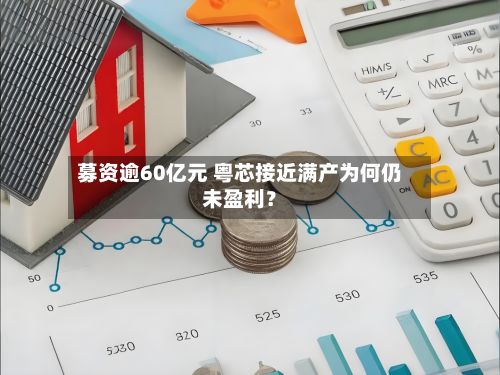 募资逾60亿元 粤芯接近满产为何仍未盈利?-第3张图片