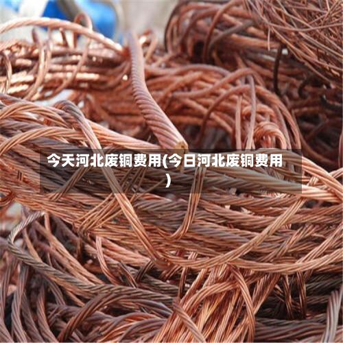 今天河北废铜费用(今日河北废铜费用)-第2张图片