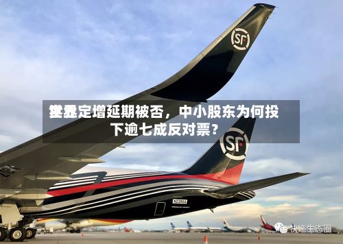 世界实业定增延期被否，中小股东为何投下逾七成反对票？-第2张图片