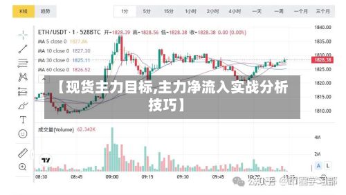 【现货主力目标,主力净流入实战分析技巧】