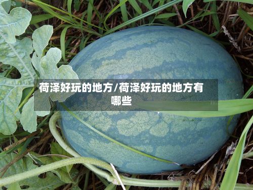 荷泽好玩的地方/荷泽好玩的地方有哪些