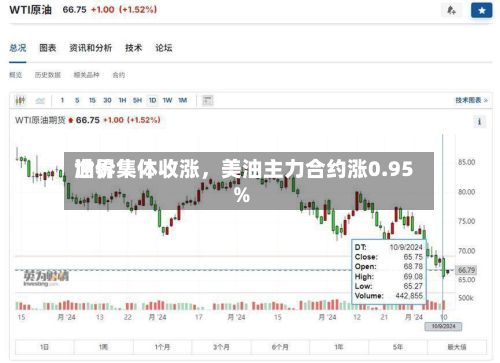 世界油价集体收涨，美油主力合约涨0.95%-第2张图片
