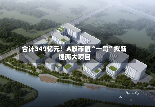 合计349亿元！A股市值“一哥”拟新建两大项目-第2张图片