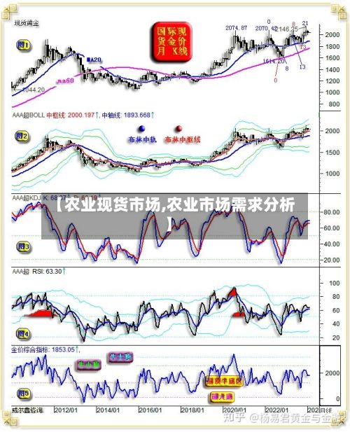 【农业现货市场,农业市场需求分析】-第2张图片