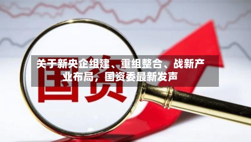关于新央企组建	、重组整合、战新产业布局，国资委最新发声-第3张图片