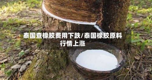 泰国查橡胶费用下跌/泰国橡胶原料行情上涨