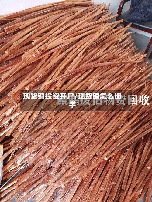 现货铜投资开户/现货铜怎么出手-第2张图片