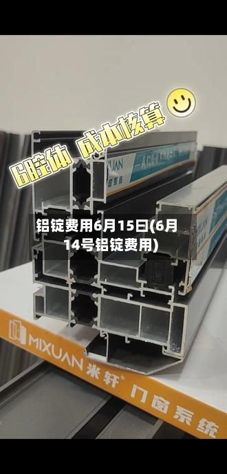 铝锭费用6月15曰(6月14号铝锭费用)