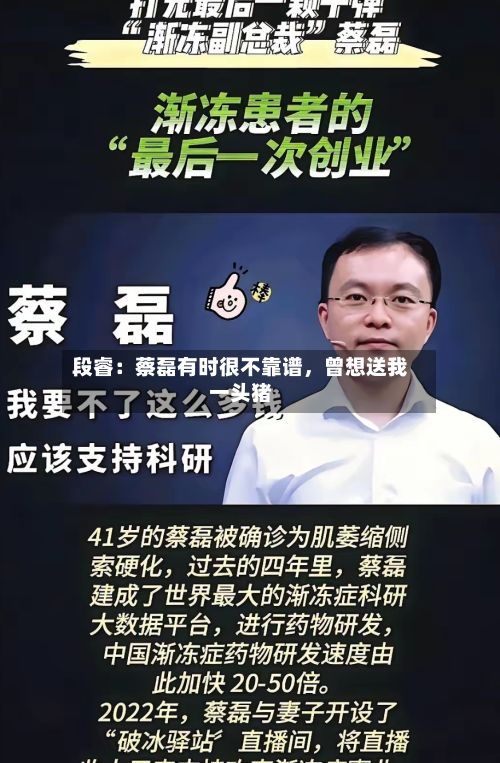 段睿：蔡磊有时很不靠谱，曾想送我一头猪-第2张图片