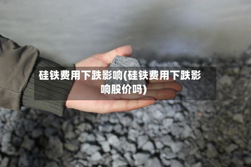 硅铁费用下跌影响(硅铁费用下跌影响股价吗)-第2张图片