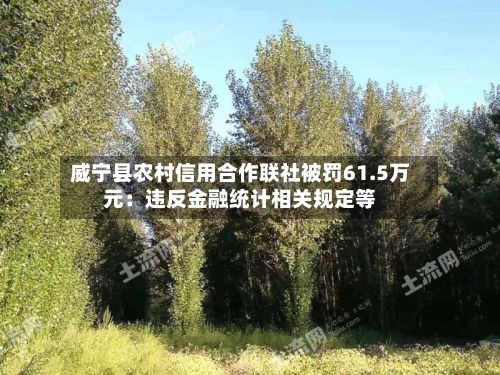 威宁县农村信用合作联社被罚61.5万元:违反金融统计相关规定等-第2张图片