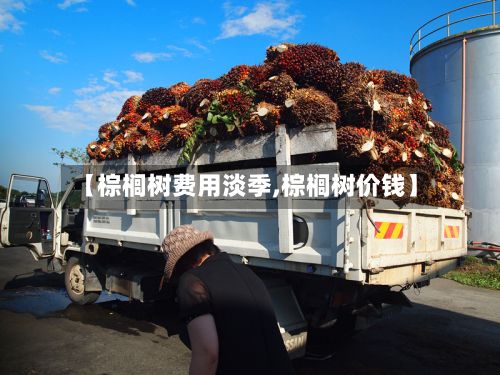 【棕榈树费用淡季,棕榈树价钱】-第2张图片