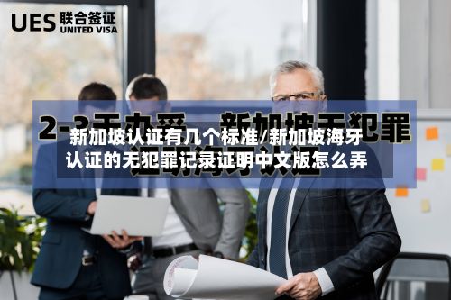 新加坡认证有几个标准/新加坡海牙认证的无犯罪记录证明中文版怎么弄-第2张图片