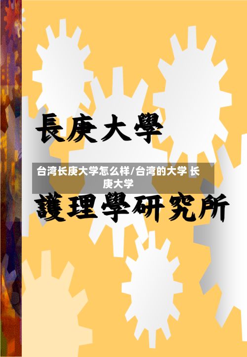 台湾长庚大学怎么样/台湾的大学 长庚大学-第2张图片