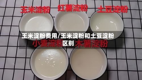王米淀粉费用/王米淀粉和土豆淀粉区别