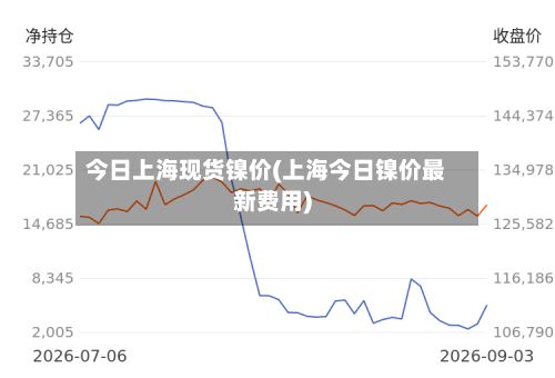 今日上海现货镍价(上海今日镍价最新费用)