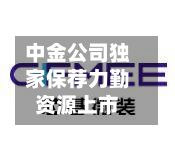 中金公司独家保荐力勤资源上市-第3张图片