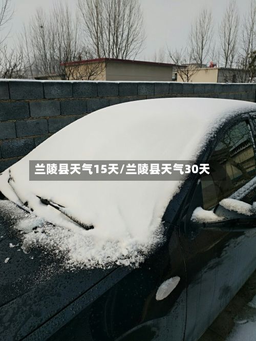 兰陵县天气15天/兰陵县天气30天-第2张图片