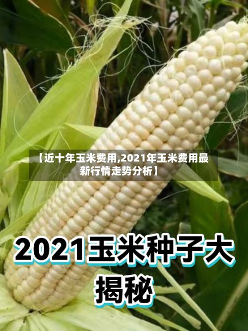 【近十年玉米费用,2021年玉米费用最新行情走势分析】