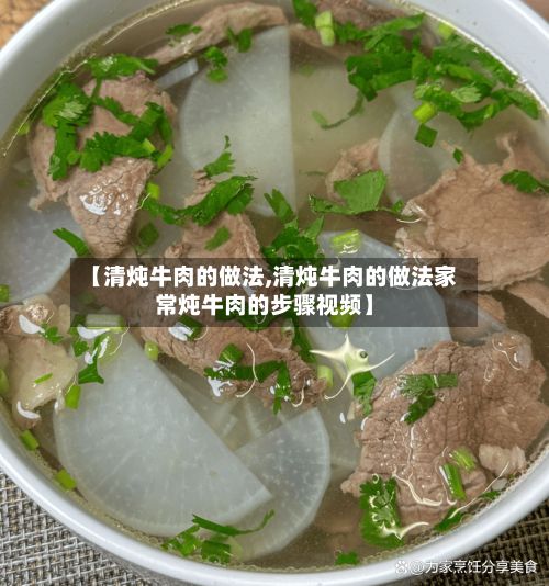 【清炖牛肉的做法,清炖牛肉的做法家常炖牛肉的步骤视频】-第3张图片