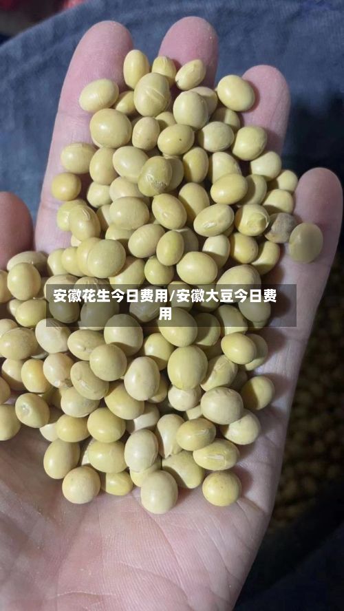 安徽花生今日费用/安徽大豆今日费用-第3张图片