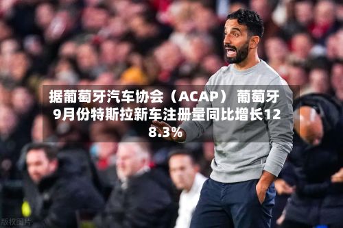 据葡萄牙汽车协会（ACAP） 葡萄牙9月份特斯拉新车注册量同比增长128.3%-第1张图片