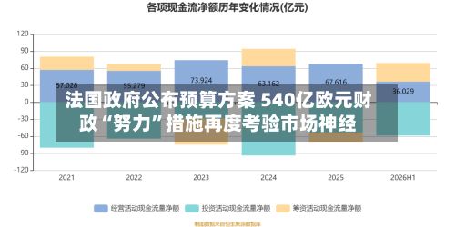 法国政府公布预算方案 540亿欧元财政“努力”措施再度考验市场神经-第3张图片